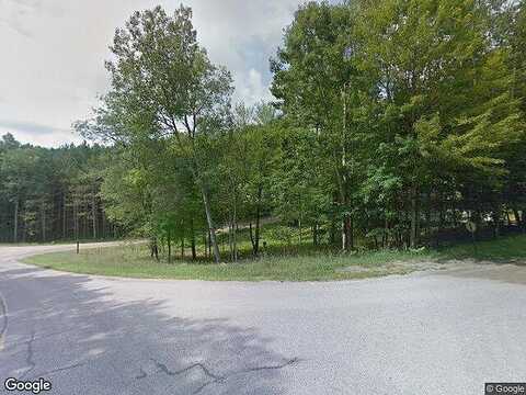 Lone Oak Dr, Canadian Lakes, MI 49346