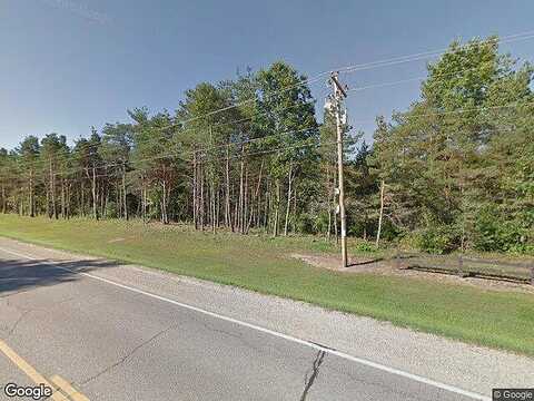 Island, STANWOOD, MI 49346