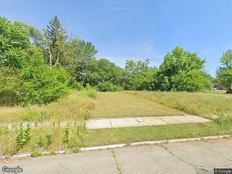 Geneva, Vacant, Highland Park, MI 48203