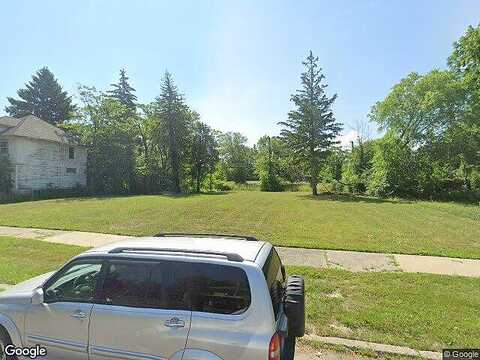 Geneva, Vacant, Highland Park, MI 48203