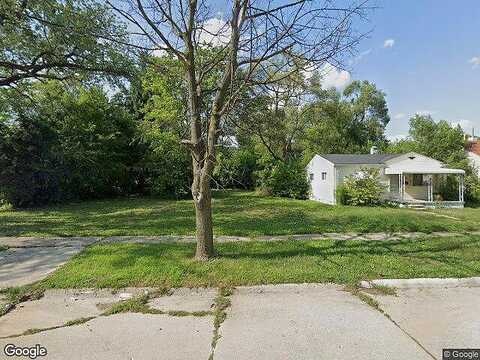 Lehigh, Vacant, Inkster, MI 48141