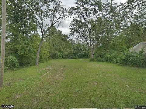 Irene, Vacant, Inkster, MI 48141