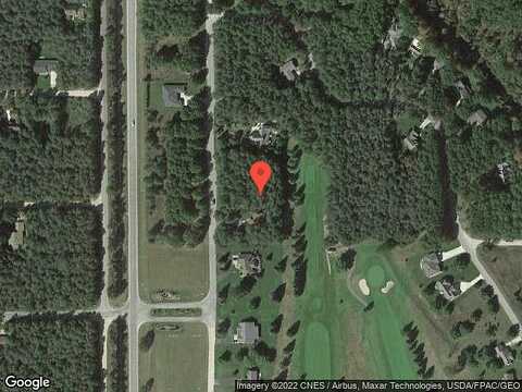 Red Fox, STANWOOD, MI 49346