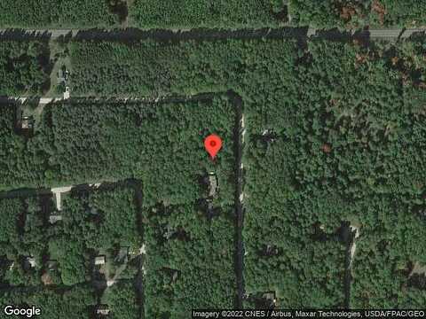 White Pine, STANWOOD, MI 49346