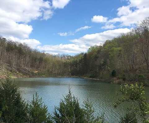 Rockhouse Trace Road (Land), Louisa, KY 41230