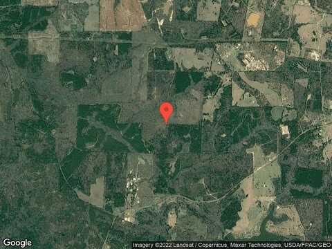 Tract 4 S County Road 4170, Laneville, TX 75667