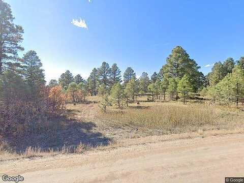 Bonanza Ave, Pagosa Springs, CO 81147