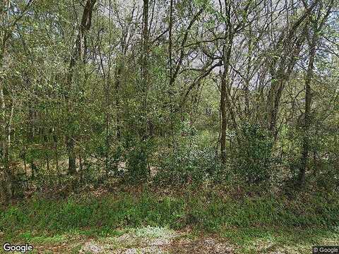 Walker Rd, Lutz, FL 33549