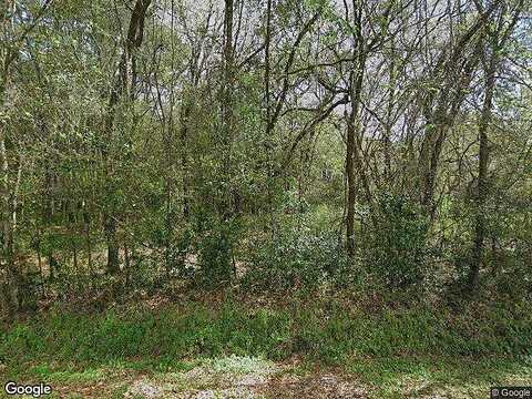 Walker Rd, Lutz, FL 33549