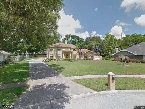 Cheviot, TAMPA, FL 33618