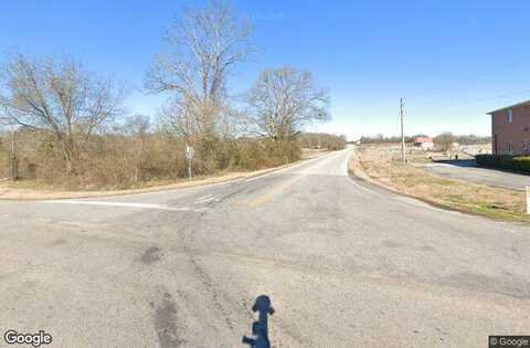 Highway 320, Carnesville, GA 30521