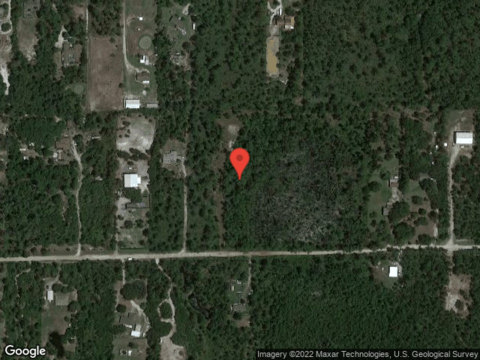 Swamp Deer, NEW SMYRNA BEACH, FL 32168