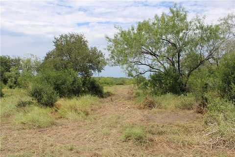 00 Lot 2 Vista Fina Drive, Sandia, TX 78383