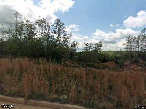 Radian Way Lot 25, Dallas, GA 30132