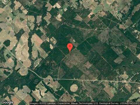 Frank P Holder Rd, Eastman, GA 31023