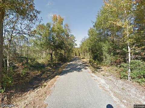 Sam Smart Rd Parcel 3, Clyo, GA 31303