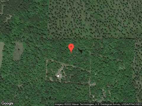 Tall Pine, HAVANA, FL 32333