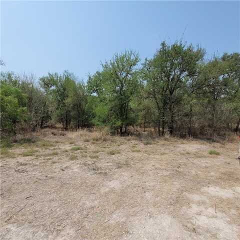 120 W County Road 3621, Sandia, TX 78383