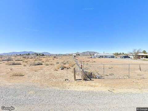 Greyhound, PAHRUMP, NV 89060