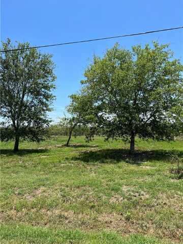 12573 CR 1272, Sinton, TX 78387