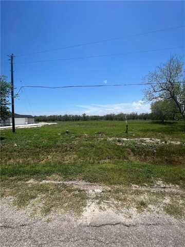 12555 CR 1272, Sinton, TX 78387