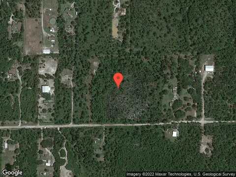 Swamp Deer, NEW SMYRNA BEACH, FL 32168
