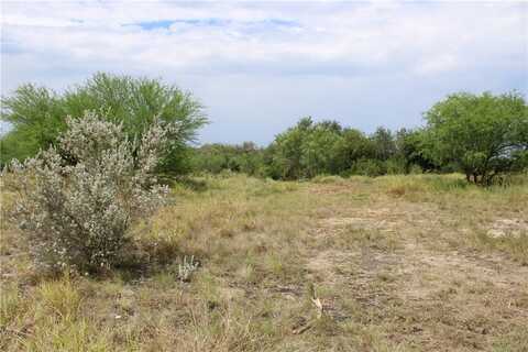 00 Lot 10 Vista Fina Dr., Sandia, TX 78383