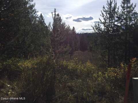 Nka Roberts Ln, Blanchard, ID 83804