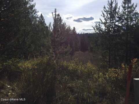 NKA Roberts Ln, Blanchard, ID 83804