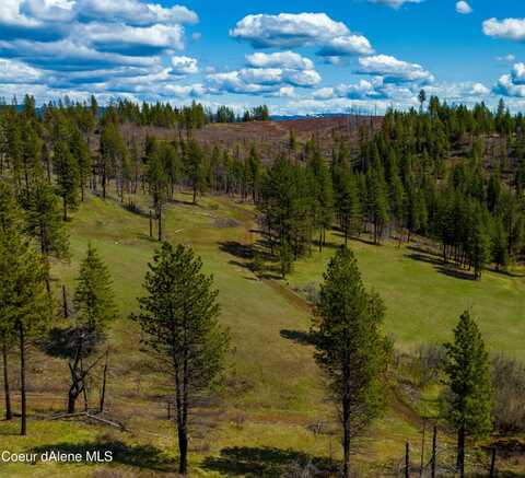 NKA 20acs Hidden Valley Ln, Lot 2, Weippe, ID 83553