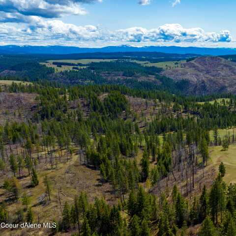 NKA 20acs Hidden Valley Ln, Lot 1, Weippe, ID 83553