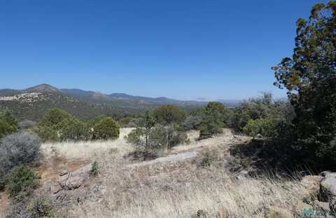 25 Forest 858 Road, Silver City, NM 88061
