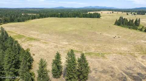 1605 Jasmine Ln, Parcel 14, Weippe, ID 83553