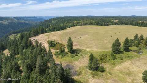 1605 Jasmine Ln, Parcel 15, Weippe, ID 83553