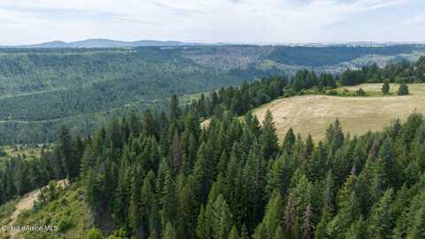 1605 Jasmine Ln, Parcel 17, Weippe, ID 83553