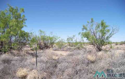 Indian Wells Lot 2, Deming, NM 88030