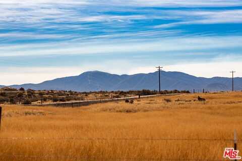 166 Russell Ranch Hwy, NEW CUYAMA, CA 93254