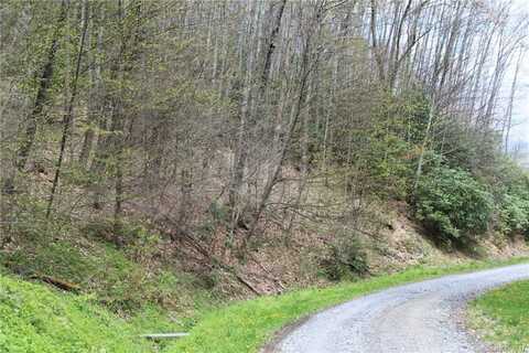 Big Spring Trail unit: 69, Kelly, NC 28719