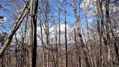 Wild Turkey Drive lot: 15 Sec 4, Whittier, NC 28789