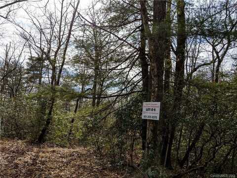 Dogwood Drive unit: E6, Penrose, NC 28766