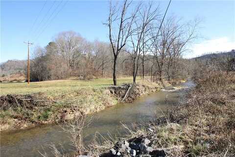 199 Sandy Mush Creek Road, Leicester, NC 28748