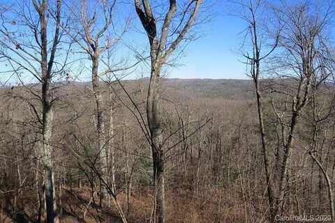 212 W Chestnut Ridges Road, Brevard, NC 28712