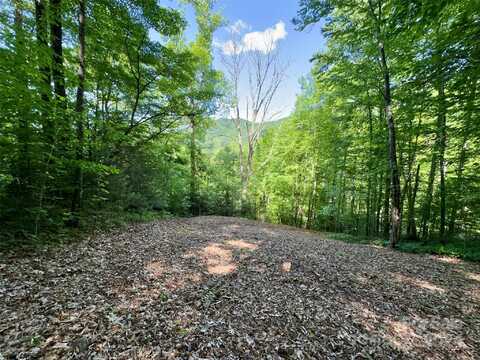 14 Trout Lily Lane, Maggie Valley, NC 28751