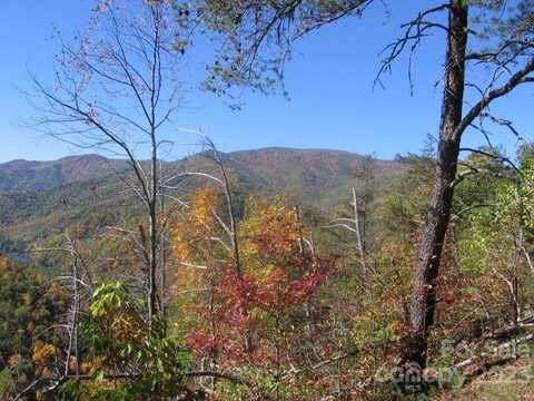 14 Blue Vista Road, Canton, NC 28716