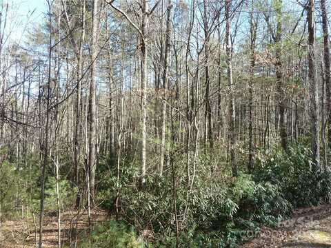 30 Abby Falls Drive, Rosman, NC 28772