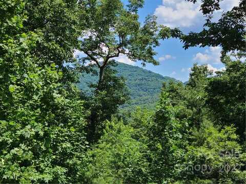 99999 Black Oak Drive, Asheville, NC 28804