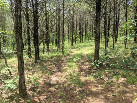 Lot 7a New Eagles Trail, Shell Knob, MO 65747