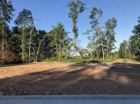 Lot 5 South Dollison Avenue, Springfield, MO 65810