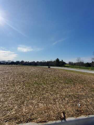 Lot 46 Vintage Pointe, Springfield, MO 65809