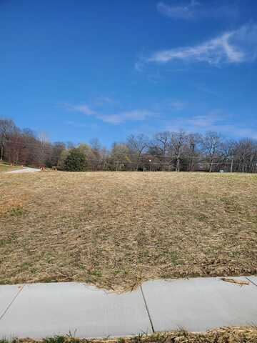 Lot 39 Vintage Pointe, Springfield, MO 65809